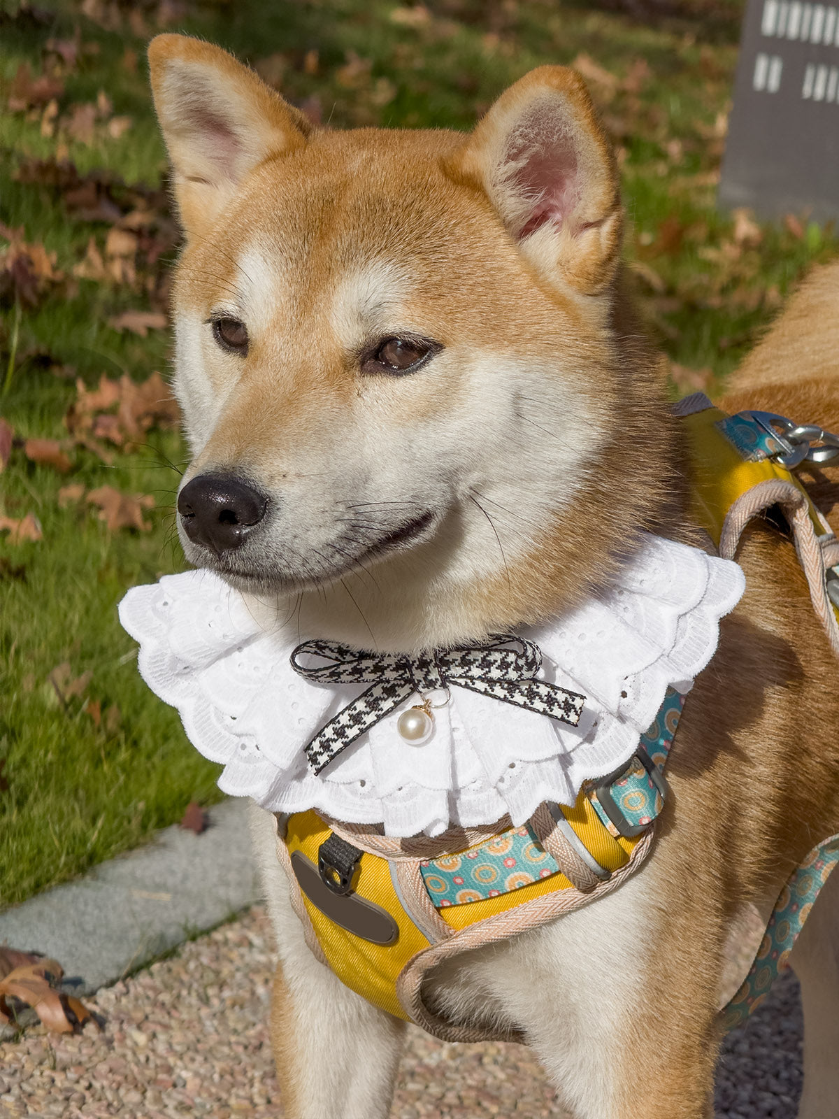 Cat Dog Collar Bandana Houndstooth Bowknot Bell