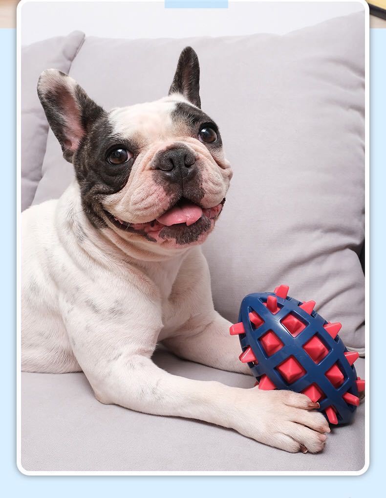 Squeaky Football Dog Toy with Massage Spikes - TPR, Floats, Aggressive Chew