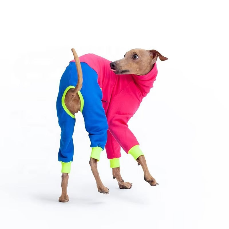 Pitaya Dog Sweater - Color Block Four-Leg Winter Wear for Extra Warmth, Tailored for Sighthound
