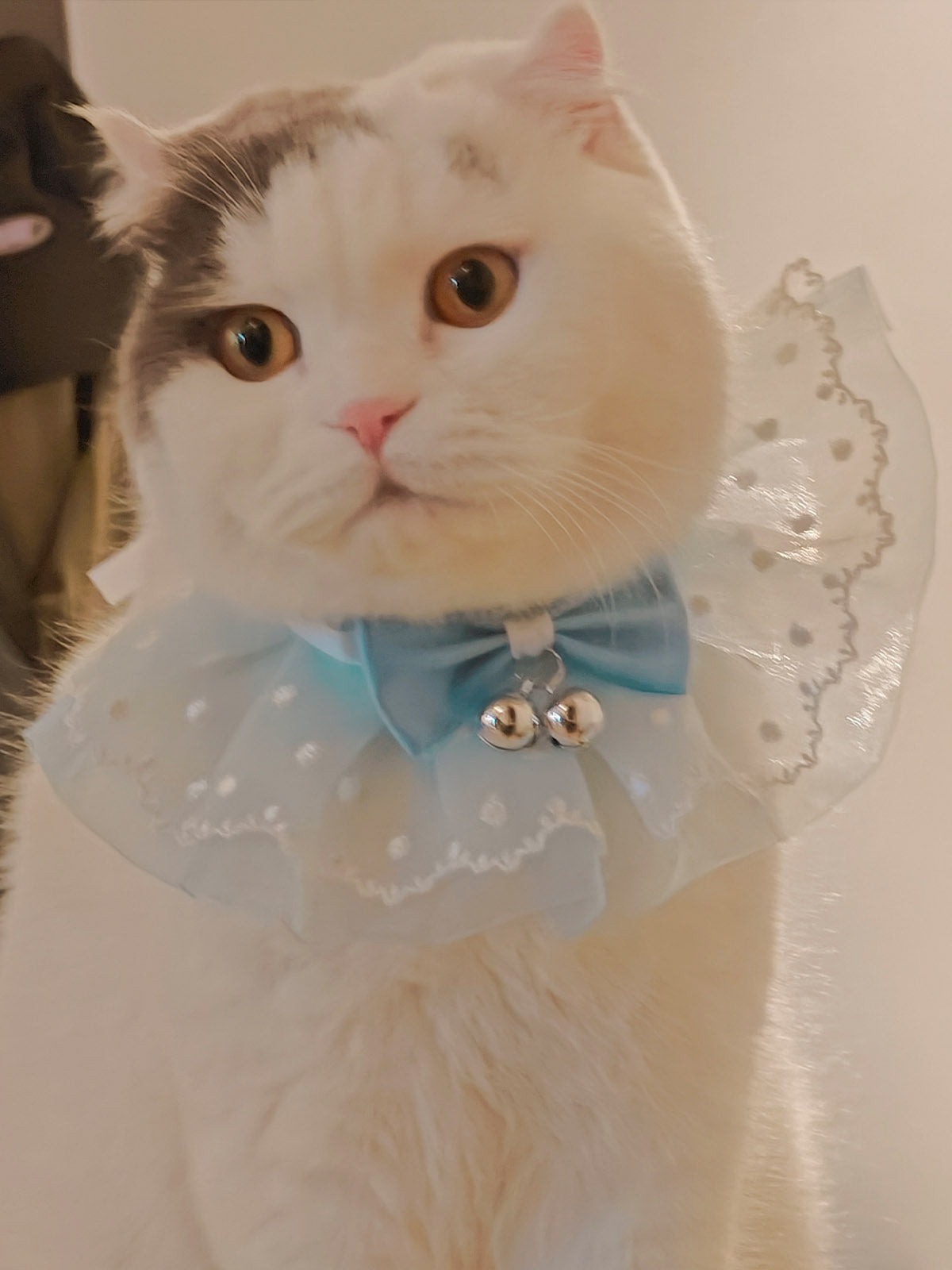 Cat Dog Collar Bell Bowknot Polka-Dotted Lace-up Sheer