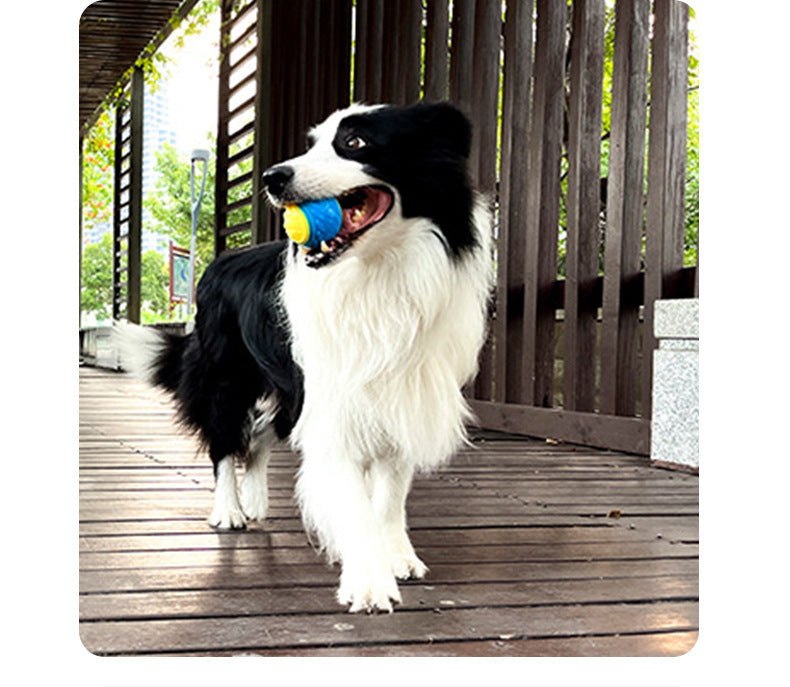 TPR Squeaky C-Ball for Large Dogs Chew