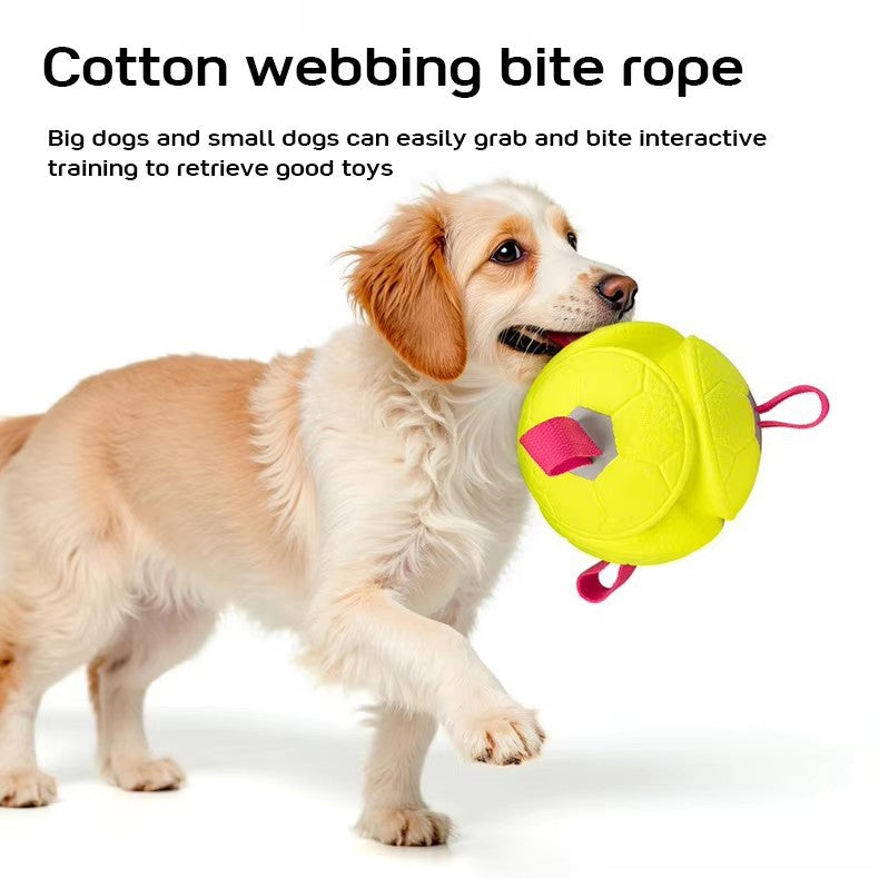 ETPU Dog Ball Toy — Eco-Friendly, Durable, Floatable & Chew-Resistant Interactive Play Ball