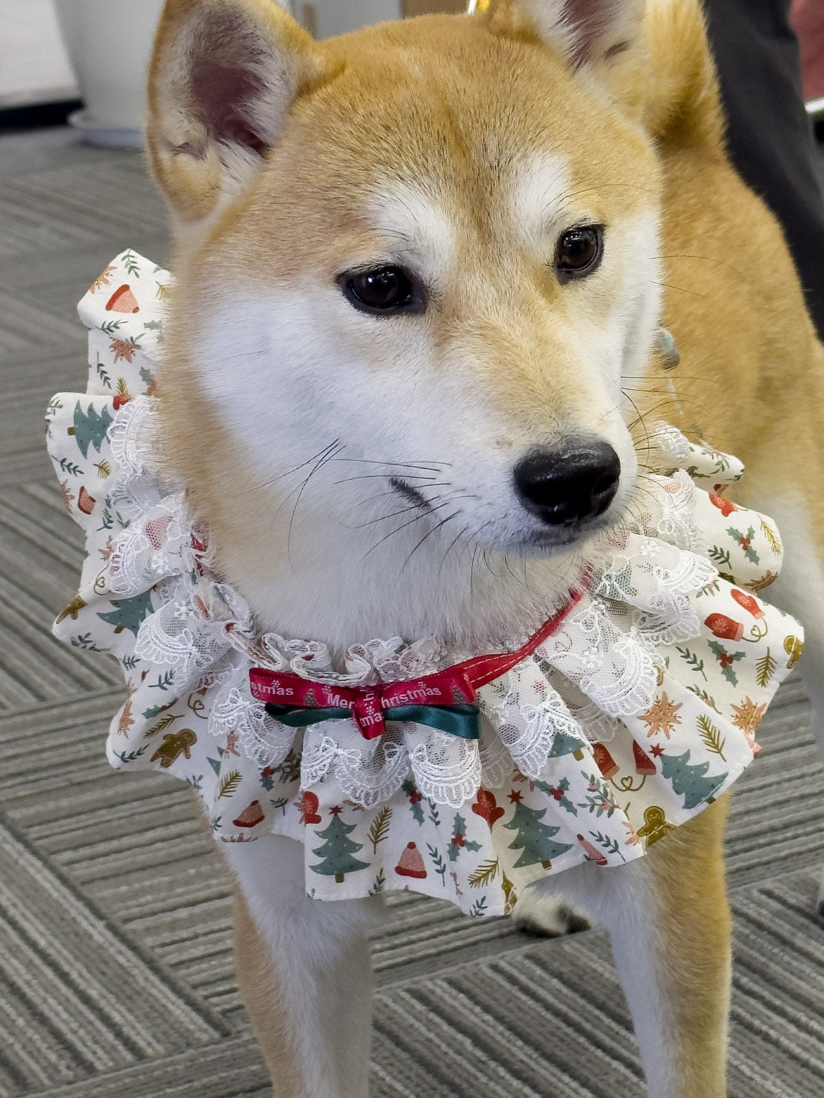 Cat Dog Collar Bandana Bowknot Christmas