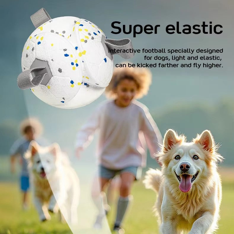 ETPU Dog Ball Toy — Eco-Friendly, Durable, Floatable & Chew-Resistant Interactive Play Ball