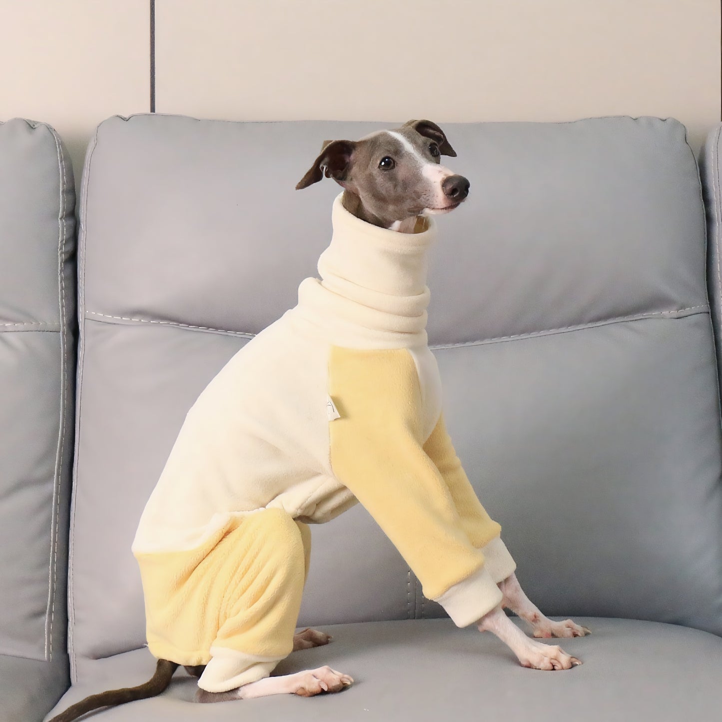 Winter Dog Sweater - Four Legs & Turtle Neck, Striped Color Block, Stretchy Warm Coat for Whippets, Greyhounds, Bedlingtons