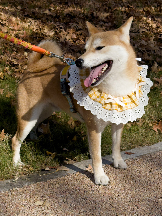 Cat Dog Collar Bandana Bowknot Plaid Spliced Lace-up