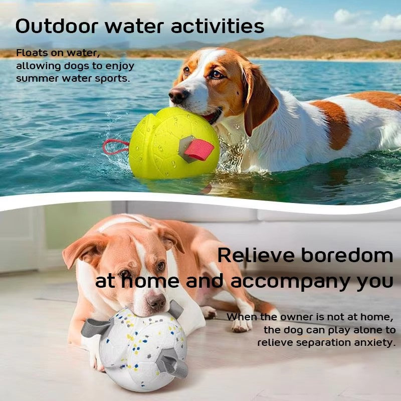 ETPU Dog Ball Toy — Eco-Friendly, Durable, Floatable & Chew-Resistant Interactive Play Ball