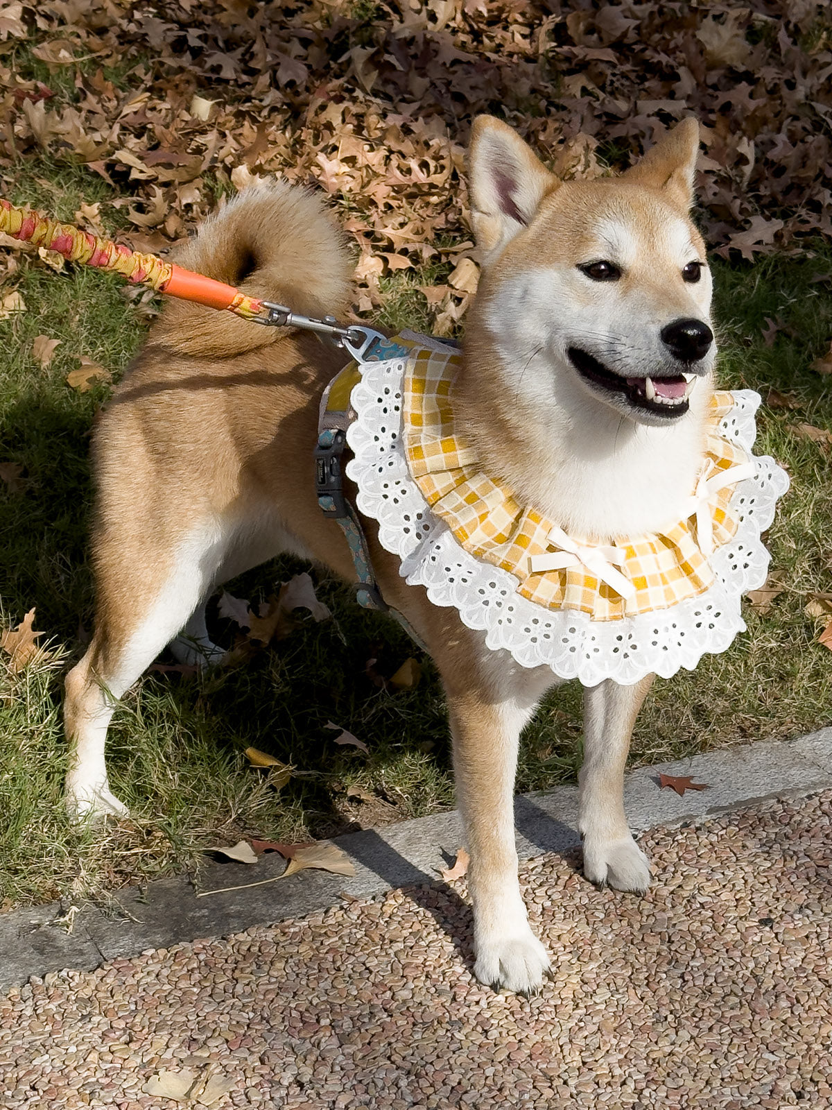 Cat Dog Collar Bandana Bowknot Plaid Spliced Lace-up