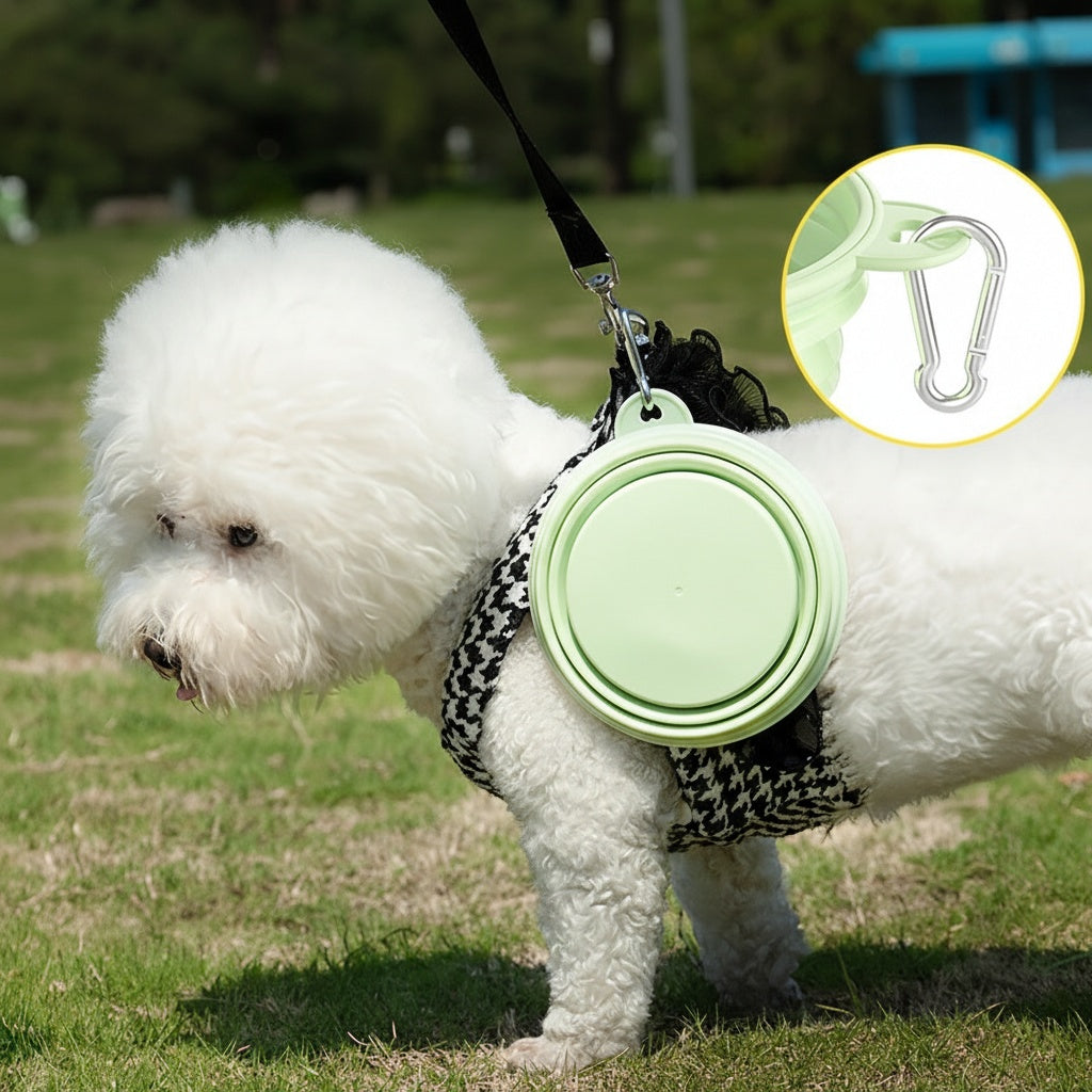 Macaron Color Foldable Pet Bowl - Silicone Portable Dog Cat Dish for Travel, Easy Pack Outdoor Feeder