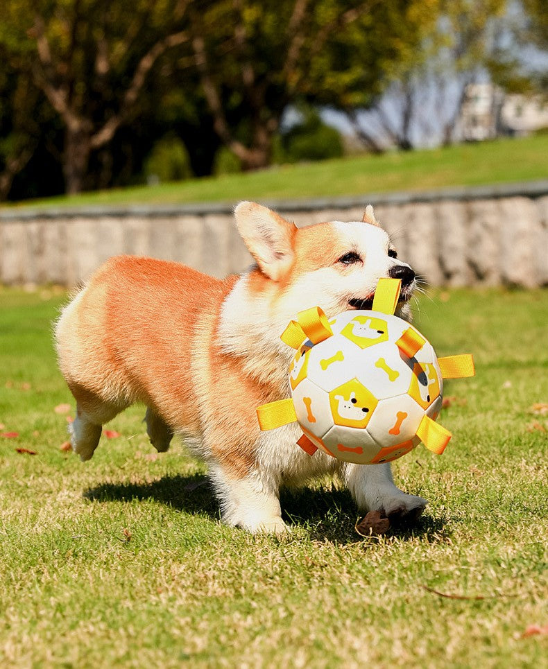 Ultra-Tough Soccer Dog Ball - Outdoor Chew Proof Training Toy with Squeaker
