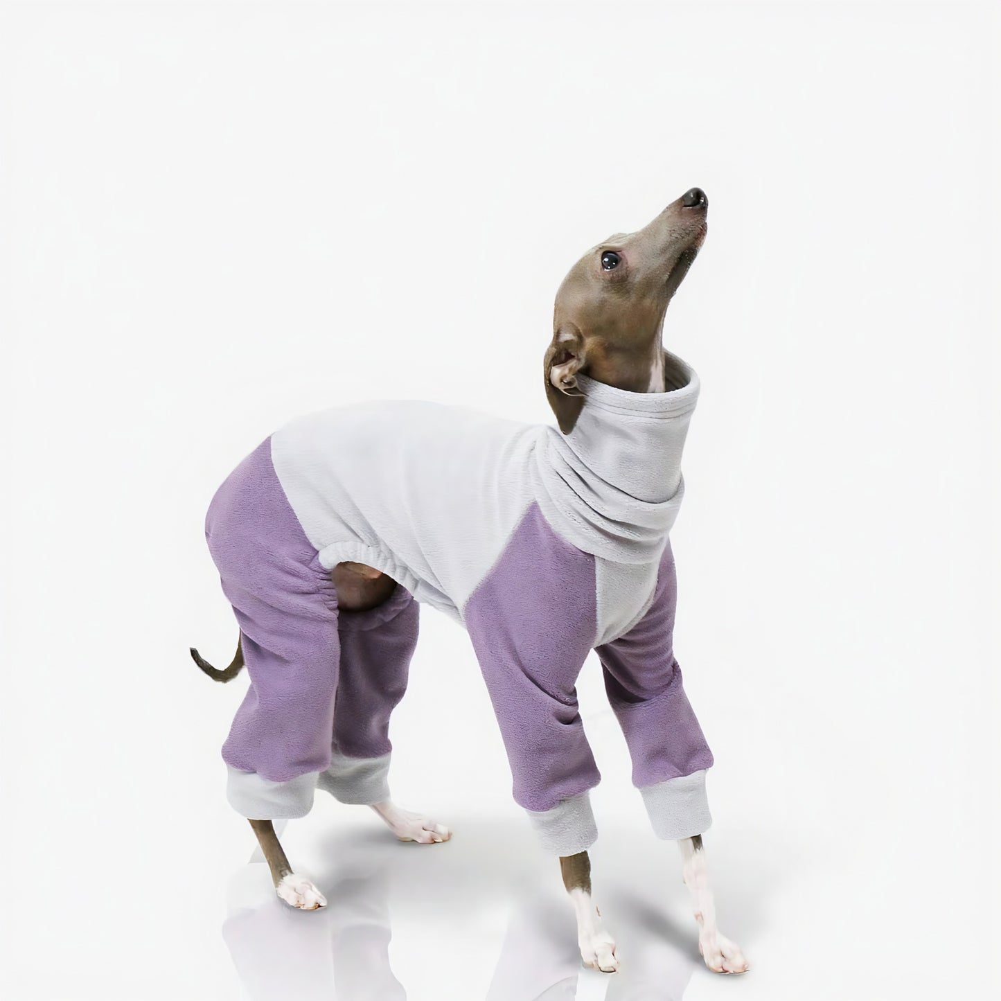 Winter Dog Sweater - Four Legs & Turtle Neck, Striped Color Block, Stretchy Warm Coat for Whippets, Greyhounds, Bedlingtons