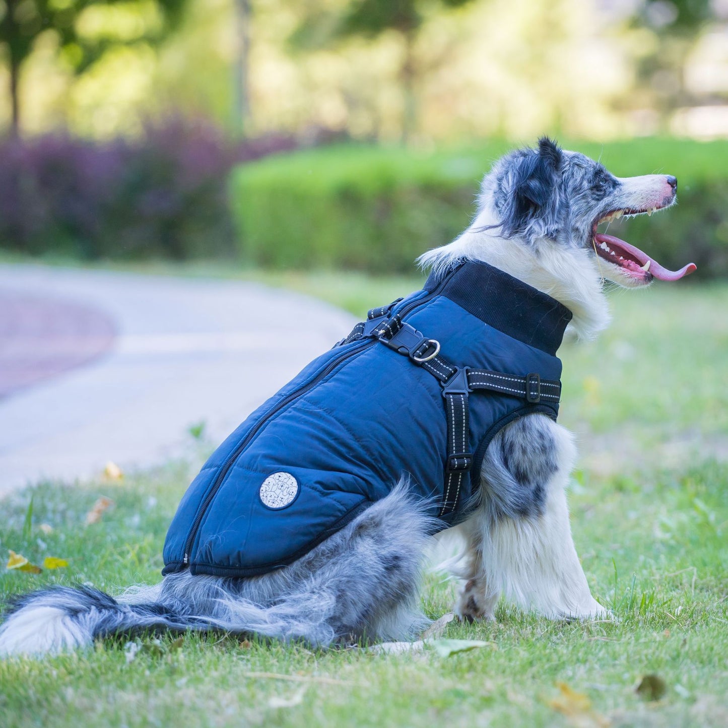 Back-Zip Dog Winter Coat - Padded Vest with Integrated Harness, Thick Warm Fleece for Cold Weather