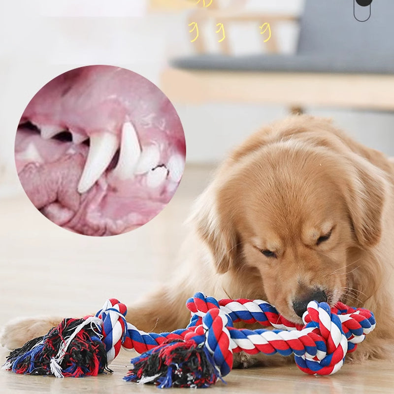 Large Rope Tug Dog Toy