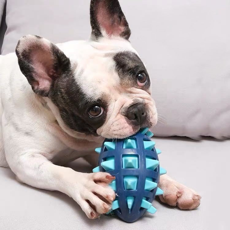 Squeaky Football Dog Toy with Massage Spikes - TPR, Floats, Aggressive Chew