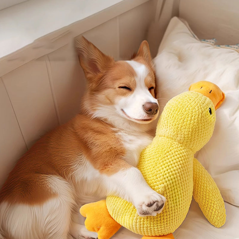 Duck-Shaped Squeaky Dog Toy