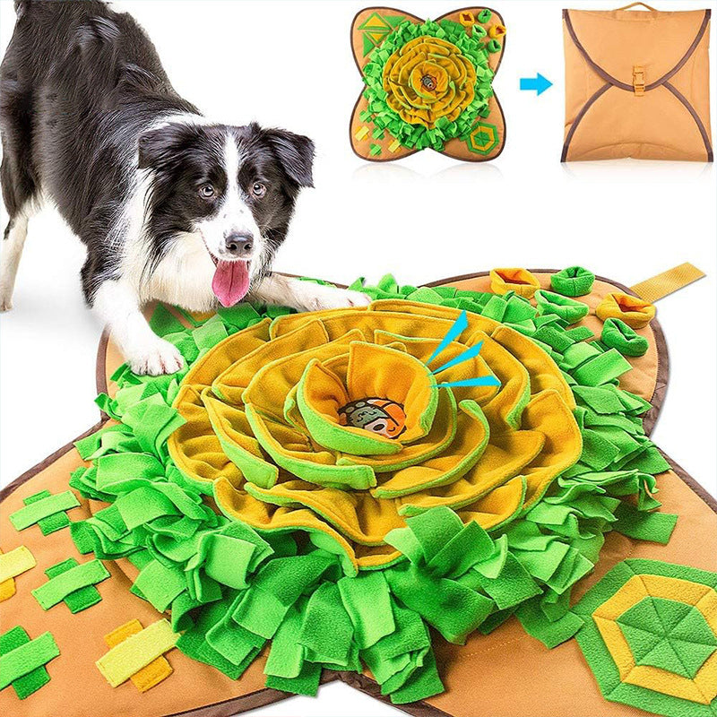 Interactive Scent Training Mat