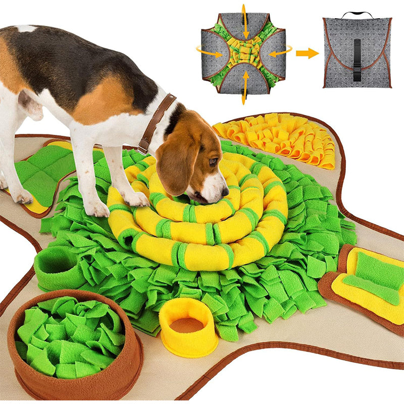 Interactive Scent Training Mat