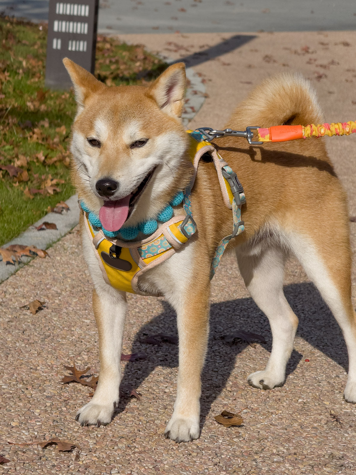 Collars Yarn Balls Pet Necklace Dog Cat Colorful