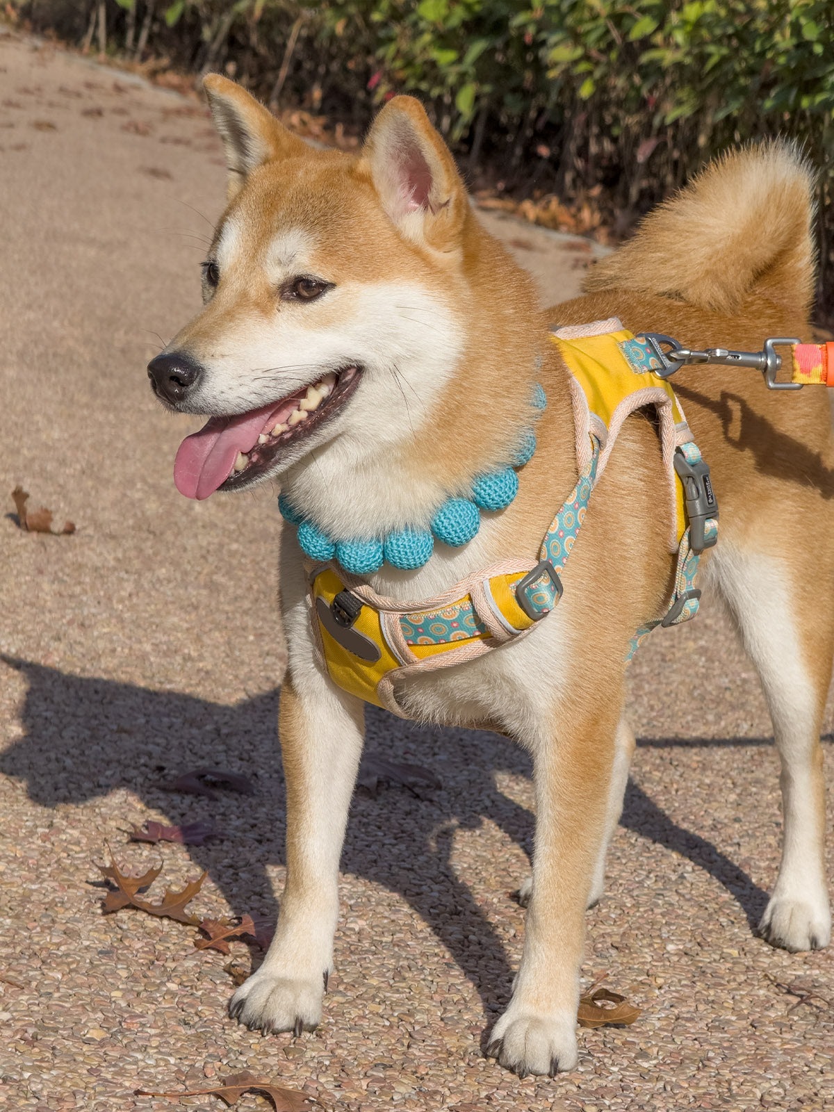 Collars Yarn Balls Pet Necklace Dog Cat Colorful
