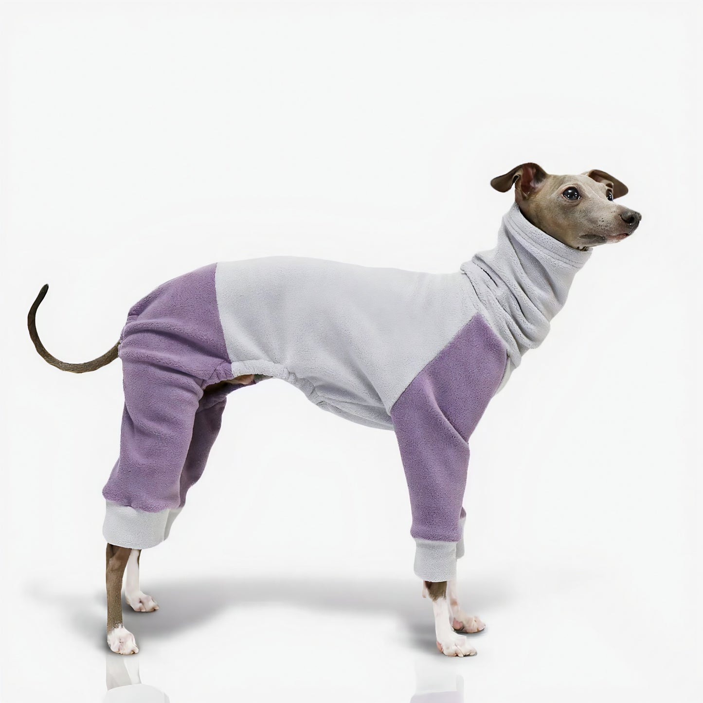 Winter Dog Sweater - Four Legs & Turtle Neck, Striped Color Block, Stretchy Warm Coat for Whippets, Greyhounds, Bedlingtons