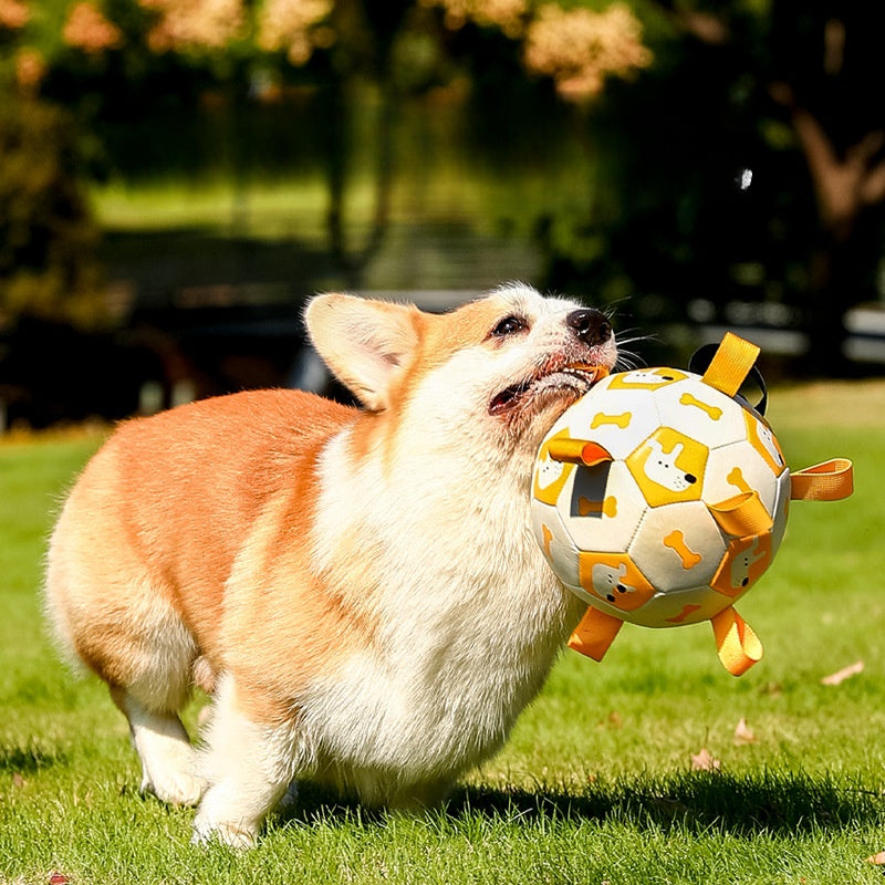 Ultra-Tough Soccer Dog Ball - Outdoor Chew Proof Training Toy with Squeaker