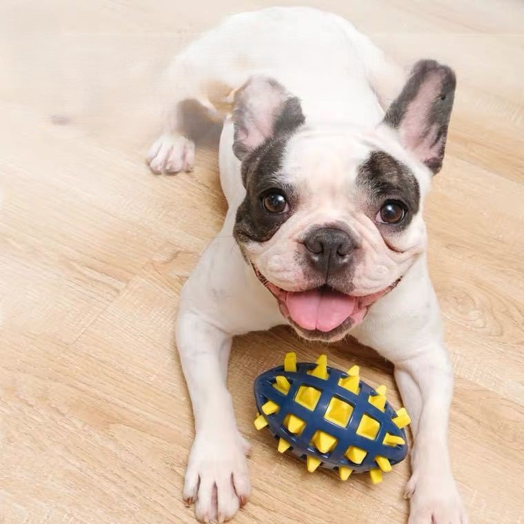 Squeaky Football Dog Toy with Massage Spikes - TPR, Floats, Aggressive Chew