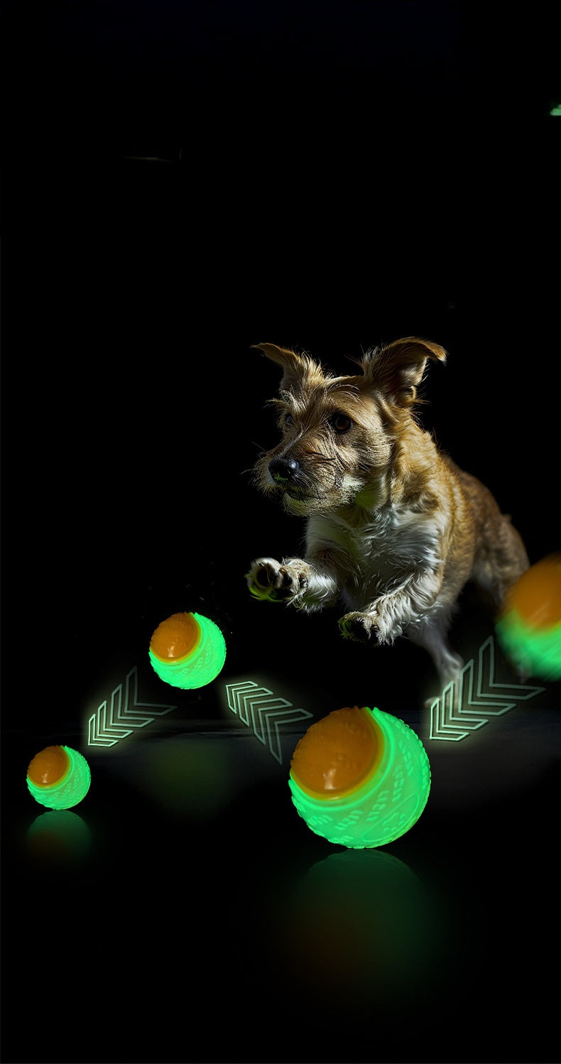 TPR Squeaky C-Ball for Large Dogs Chew