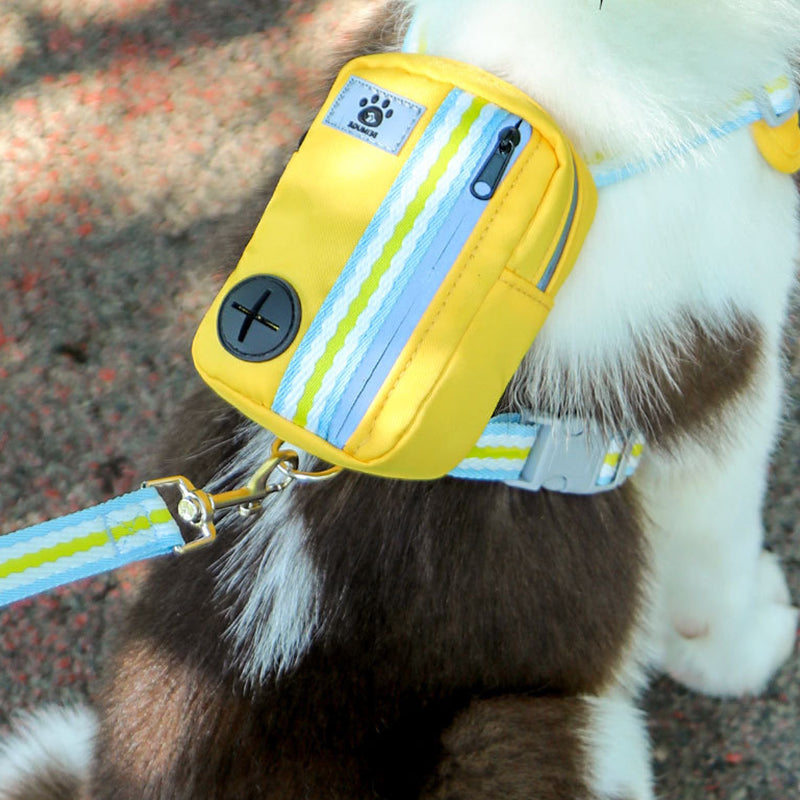 Pet Harness with Mini Backpack Leash Set