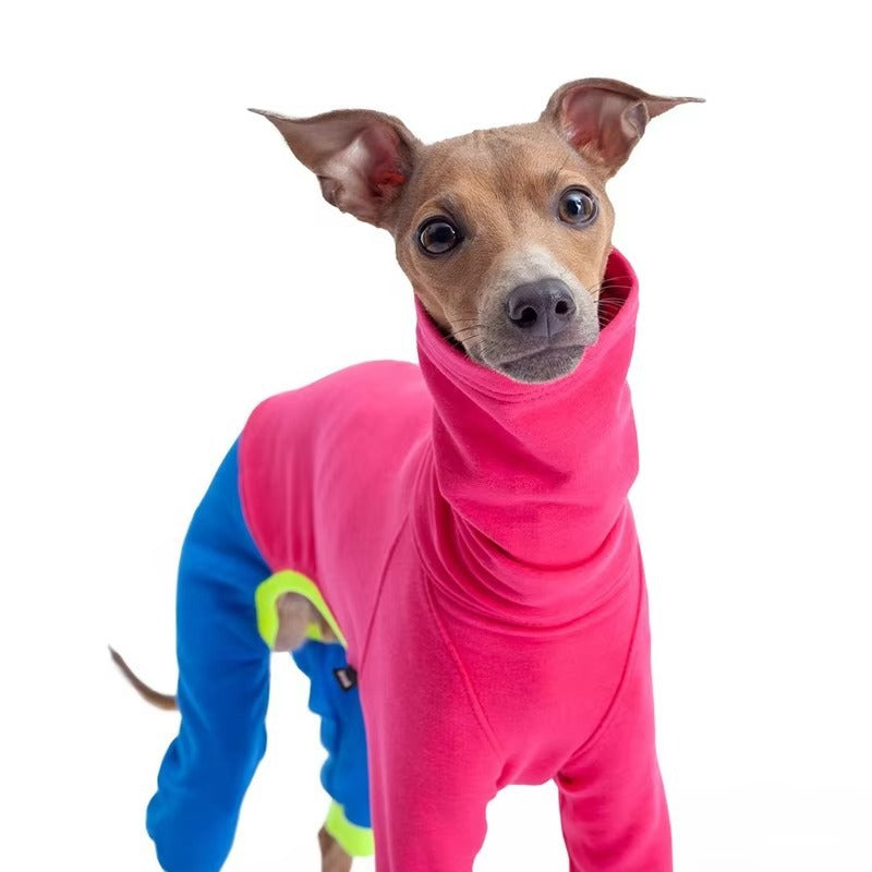 Pitaya Dog Sweater  - Color Block Four-Leg Winter Wear for Extra Warmth, Tailored for Sighthound