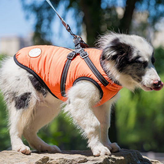 Back-Zip Dog Winter Coat - Padded Vest with Integrated Harness, Thick Warm Fleece for Cold Weather