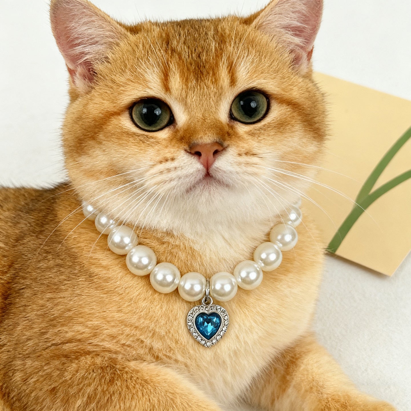 Pet Heart Pendant Necklace Faux Pearl Accent Collar for Cats and Dogs