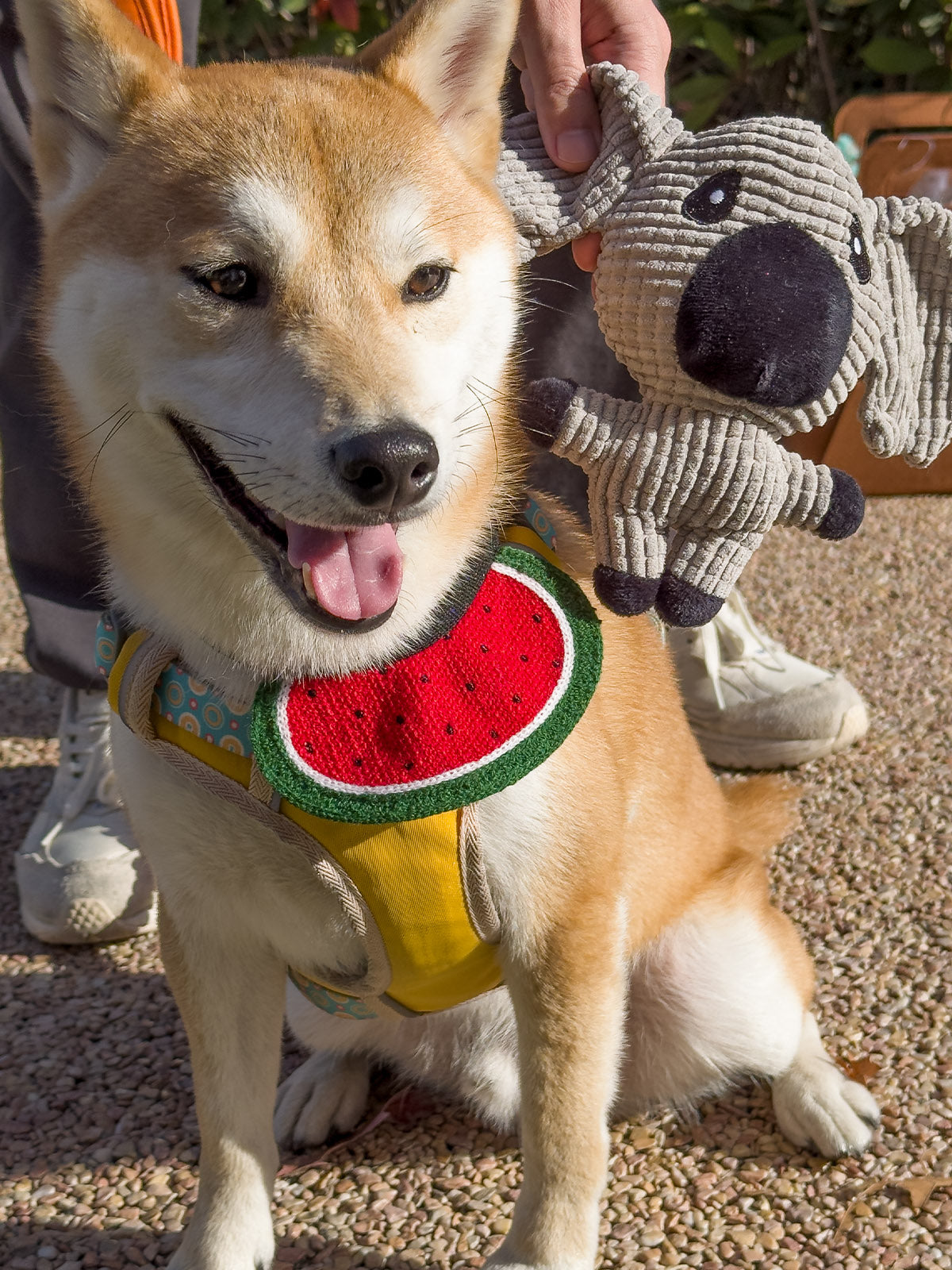 Cat Dog Collar Bandana Knitted Bib Cute