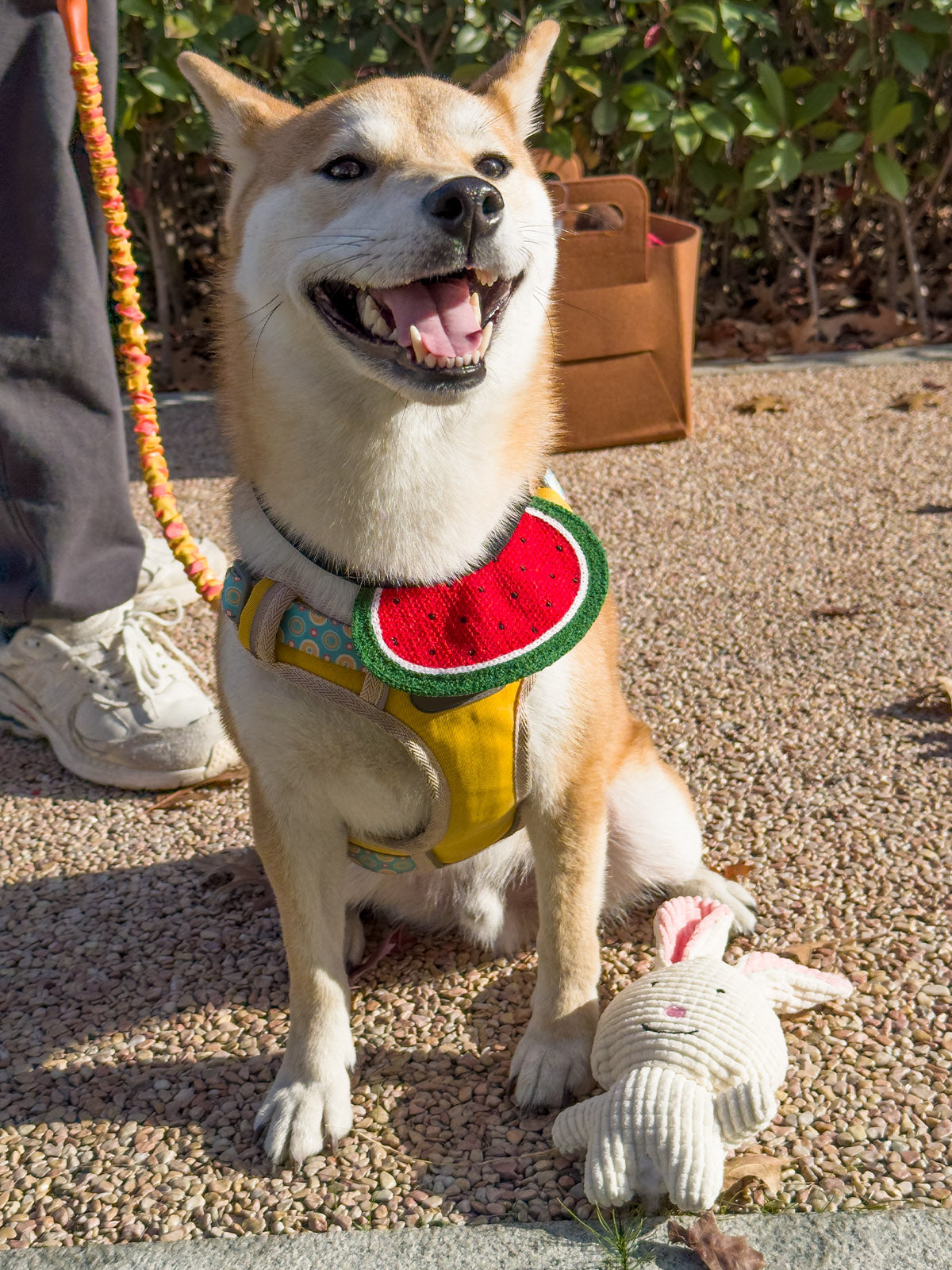 Cat Dog Collar Bandana Knitted Bib Cute