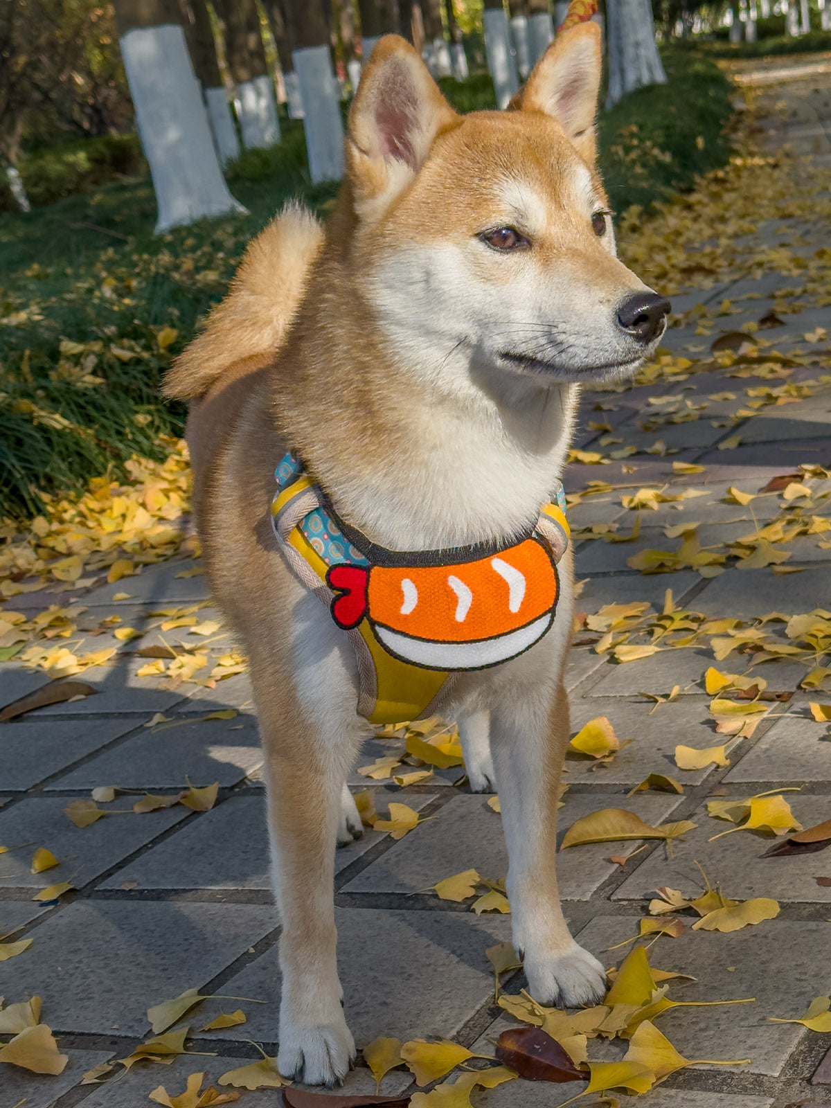 Cat Dog Collar Bandana Knitted Bib Cute