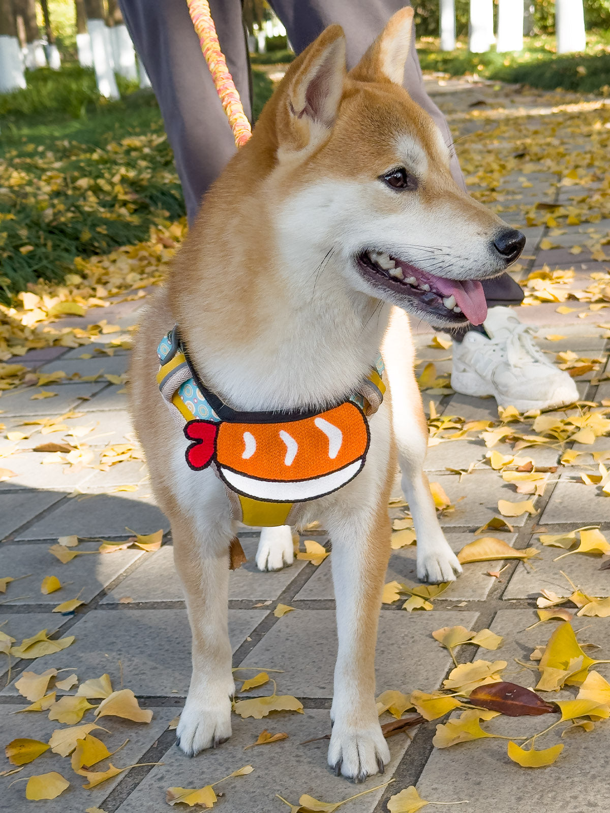 Cat Dog Collar Bandana Knitted Bib Cute
