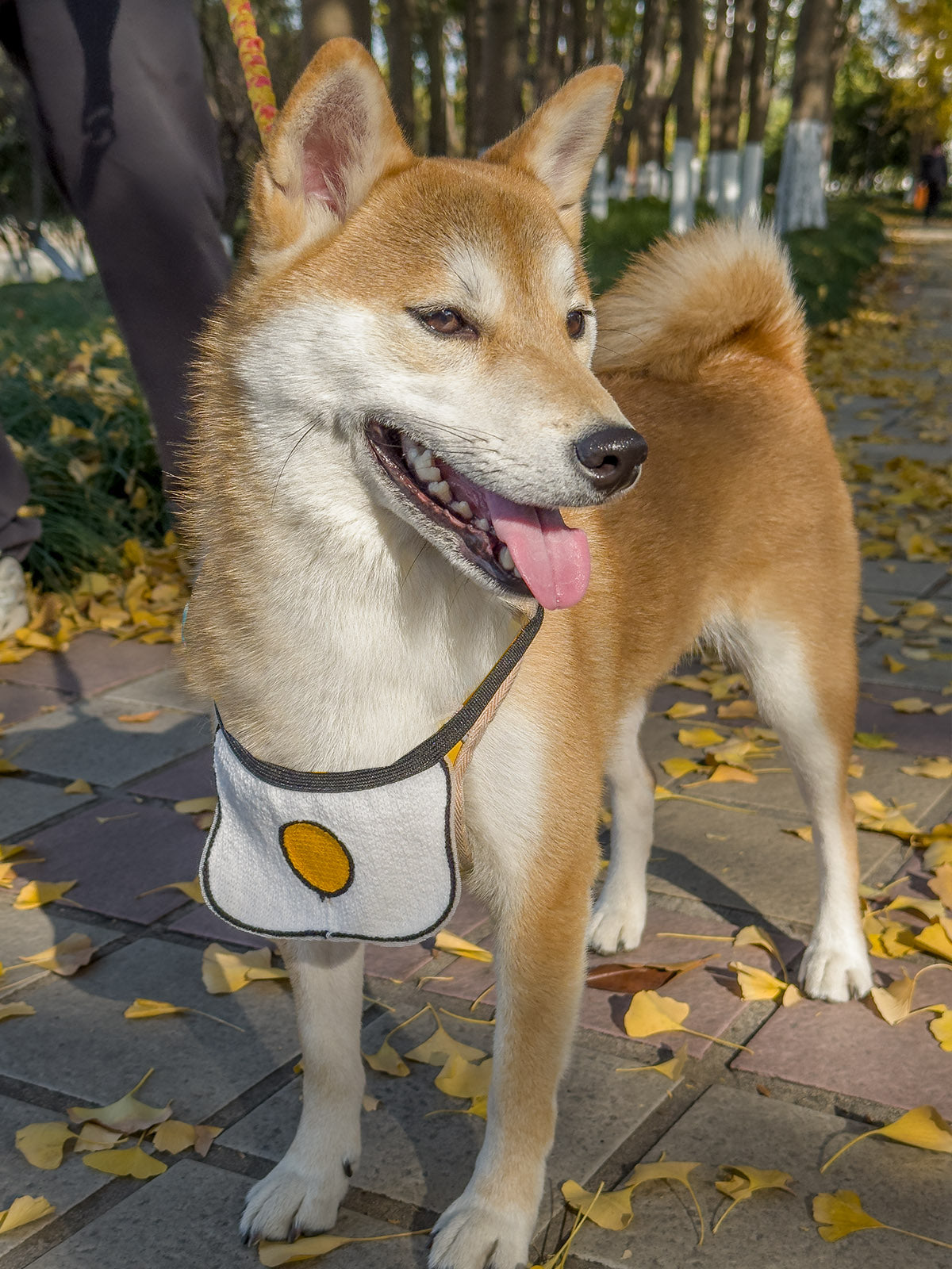 Cat Dog Collar Bandana Knitted Bib Cute