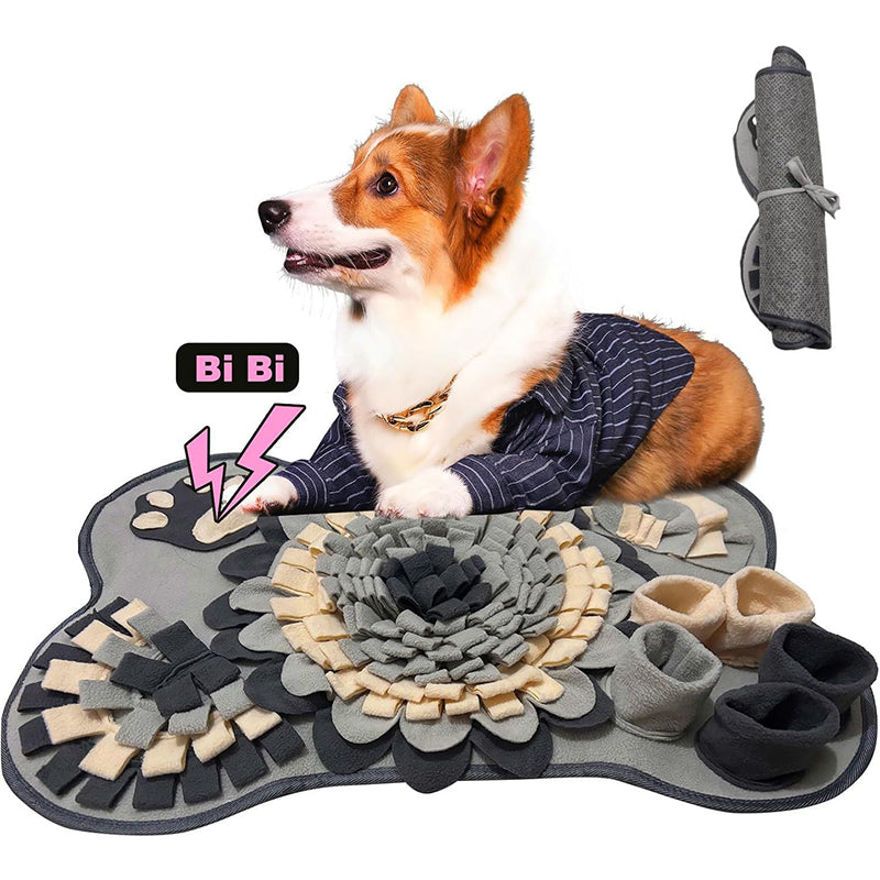 Interactive Scent Training Mat