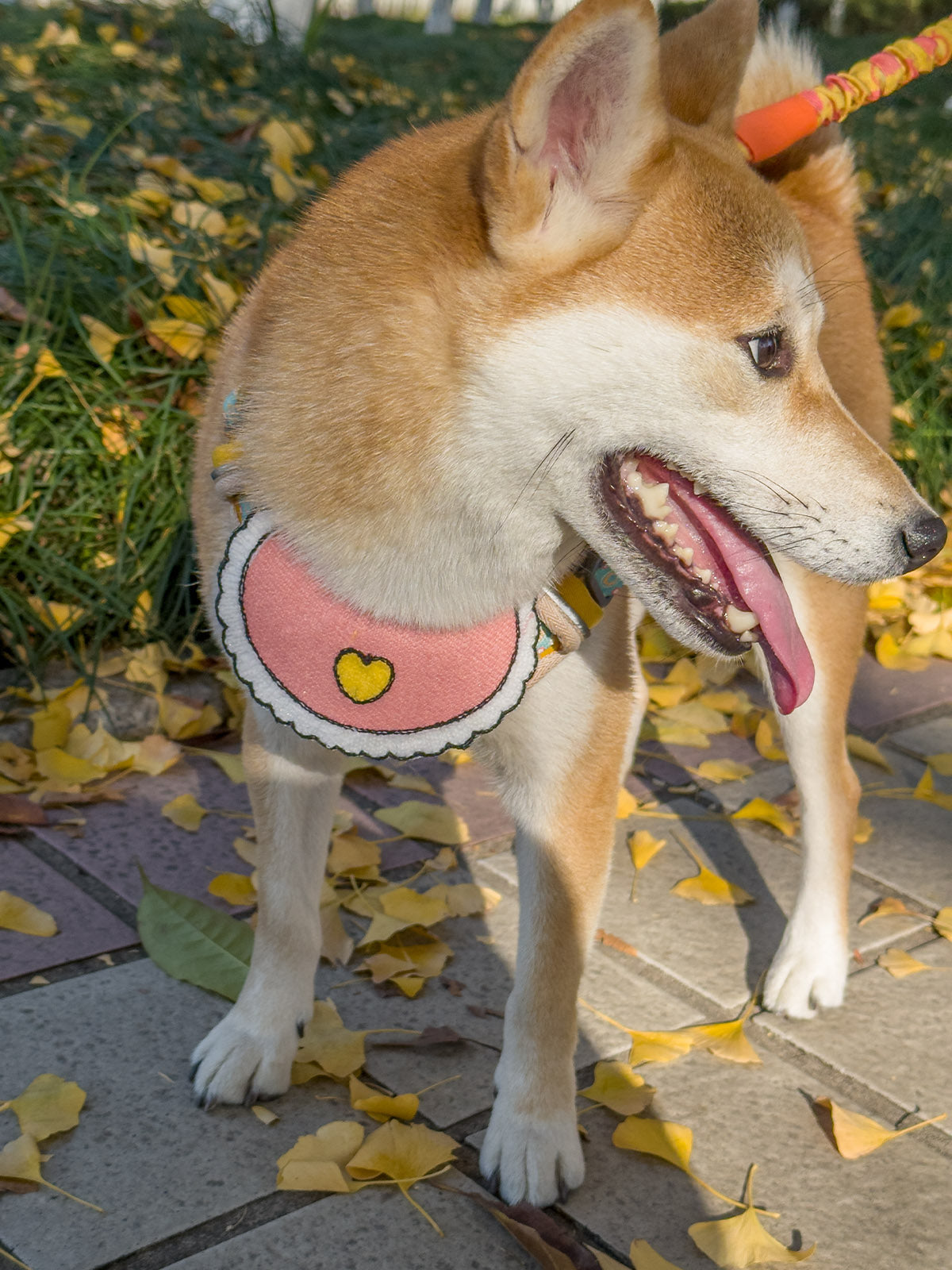 Cat Dog Collar Bandana Knitted Bib Cute
