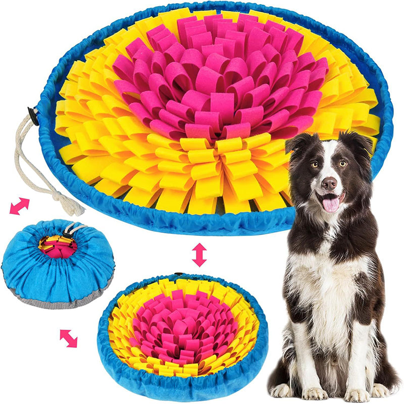 Interactive Scent Training Mat