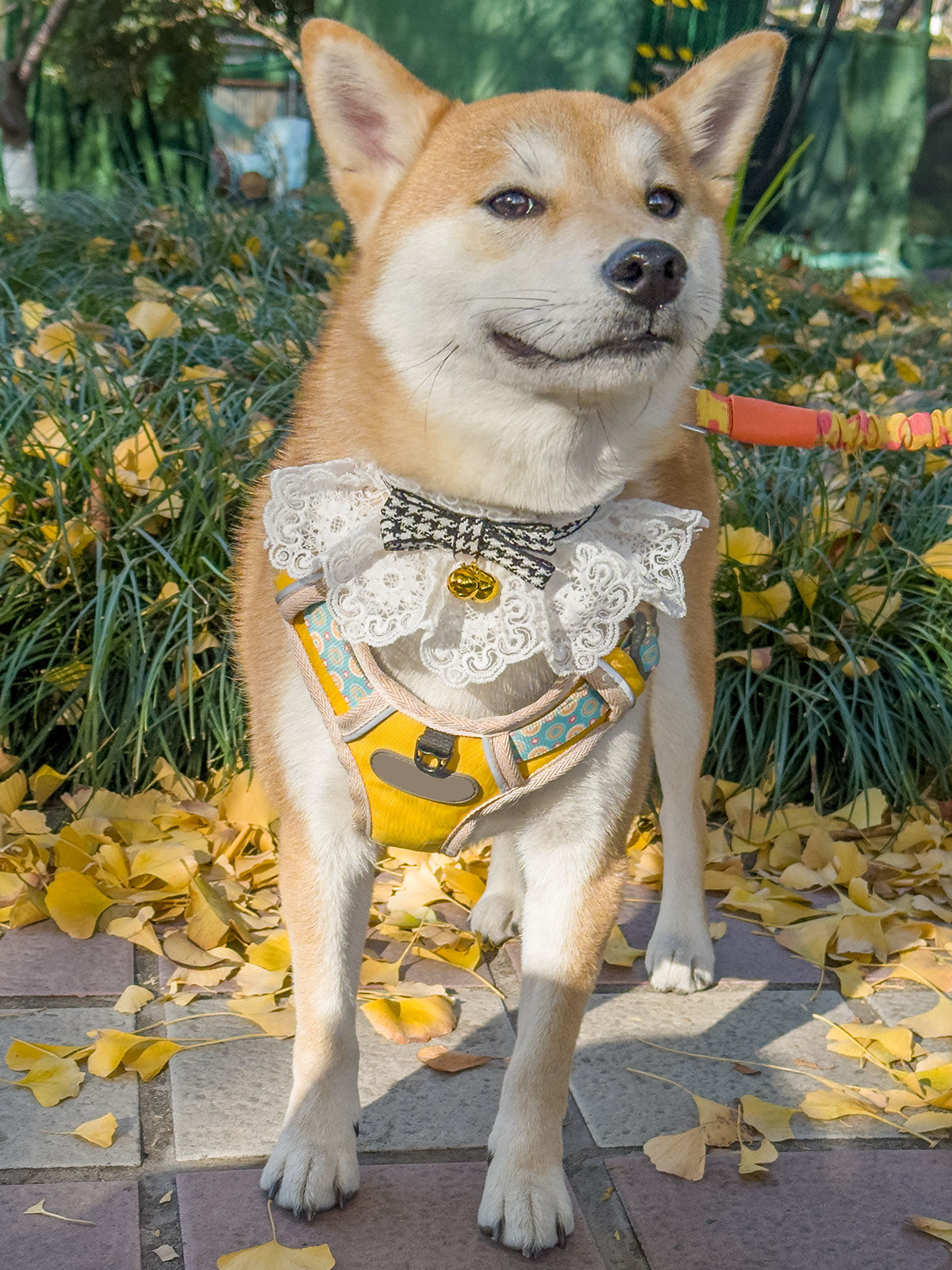 Cat Dog Collar Bandana Houndstooth Bowknot Bell