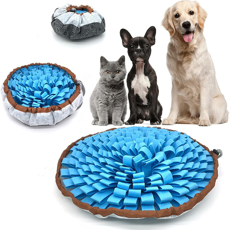 Interactive Scent Training Mat