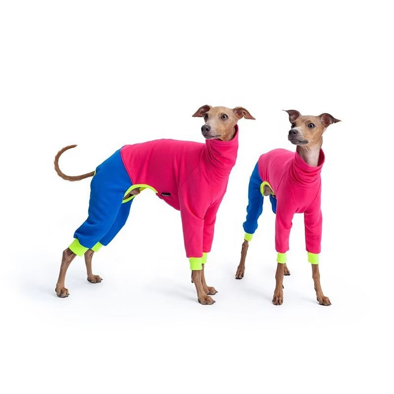 Pitaya Dog Sweater  - Color Block Four-Leg Winter Wear for Extra Warmth, Tailored for Sighthound