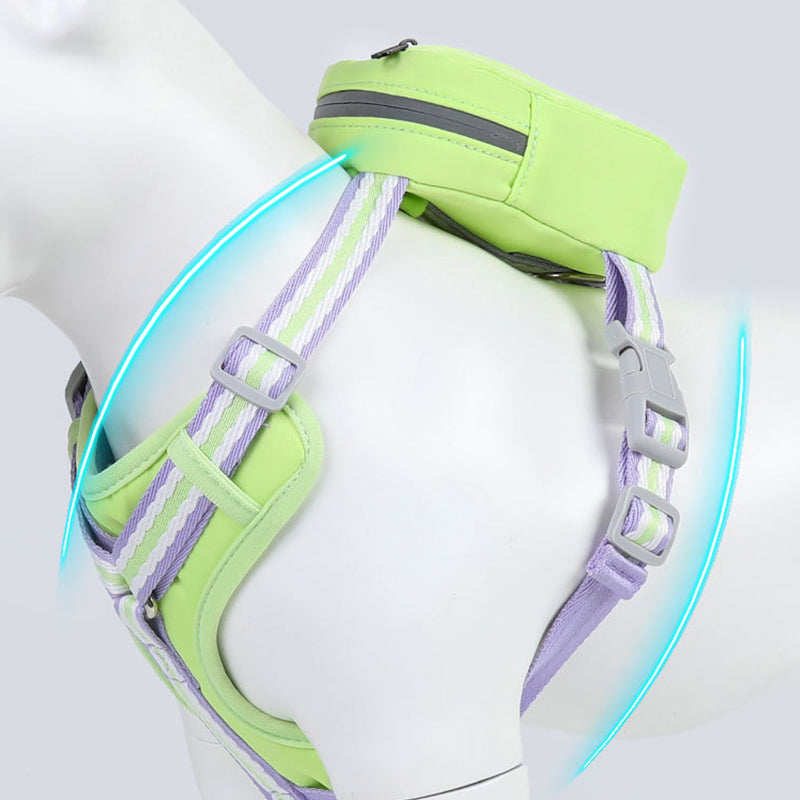 Pet Harness with Mini Backpack Leash Set