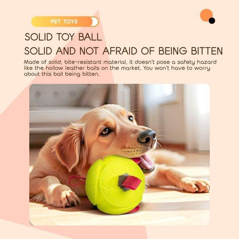 ETPU Dog Ball Toy — Eco-Friendly, Durable, Floatable & Chew-Resistant Interactive Play Ball