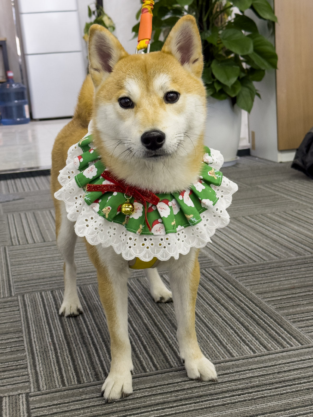 Cat Dog Collar Bandana Bowknot Christmas Bell