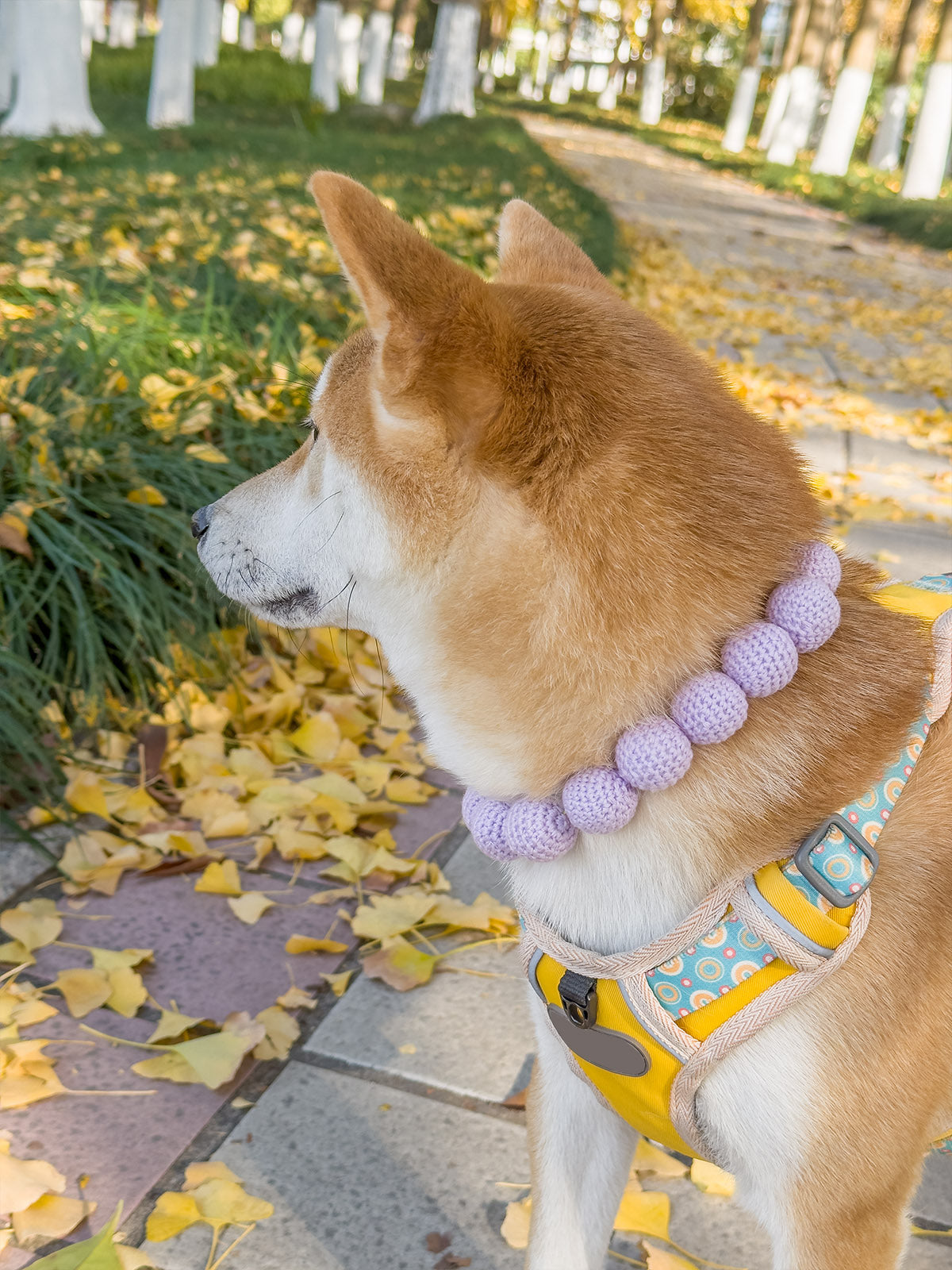 Collars Yarn Balls Pet Necklace Dog Cat Colorful