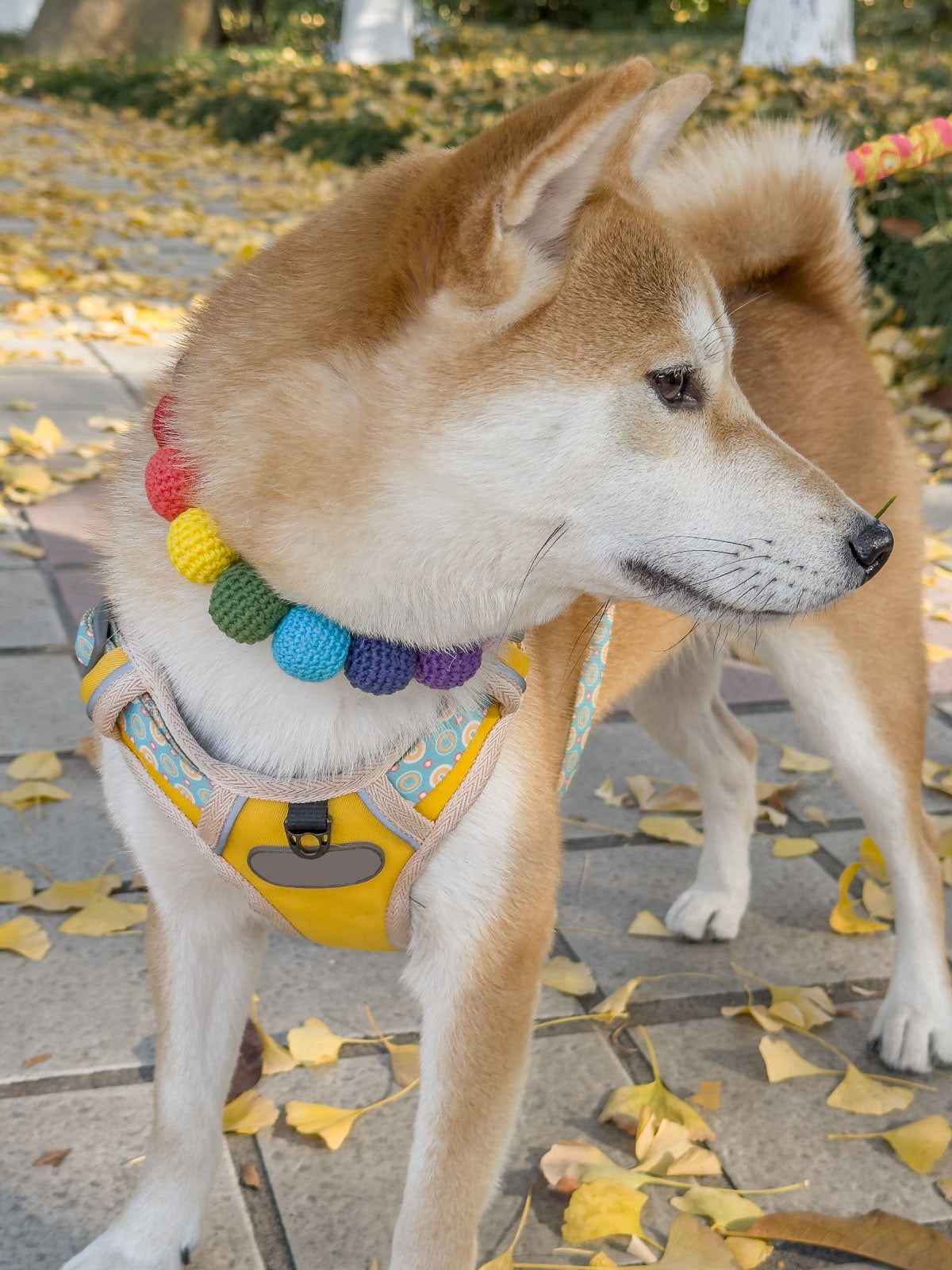 Collars Yarn Balls Pet Necklace Dog Cat Colorful