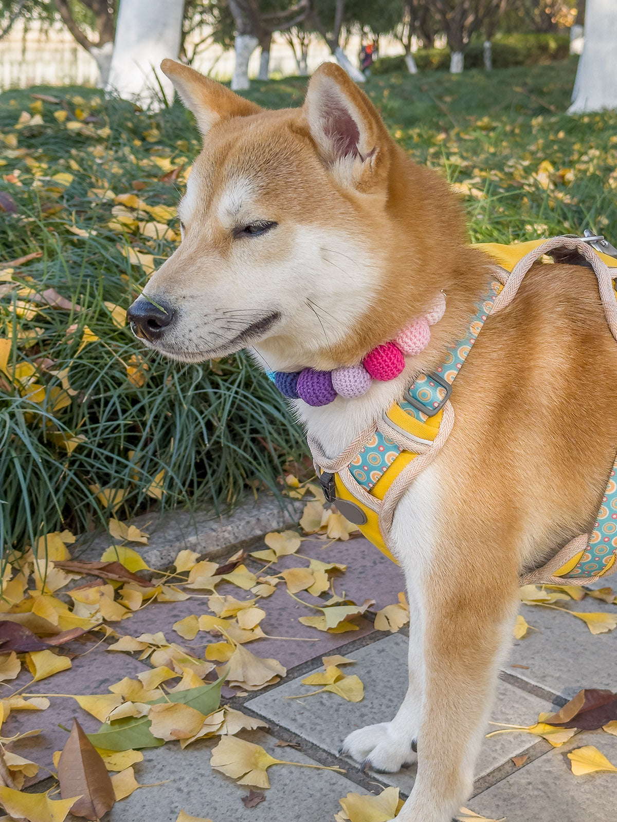 Collars Yarn Balls Pet Necklace Dog Cat Colorful