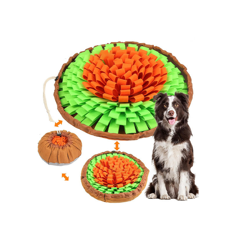 Interactive Scent Training Mat