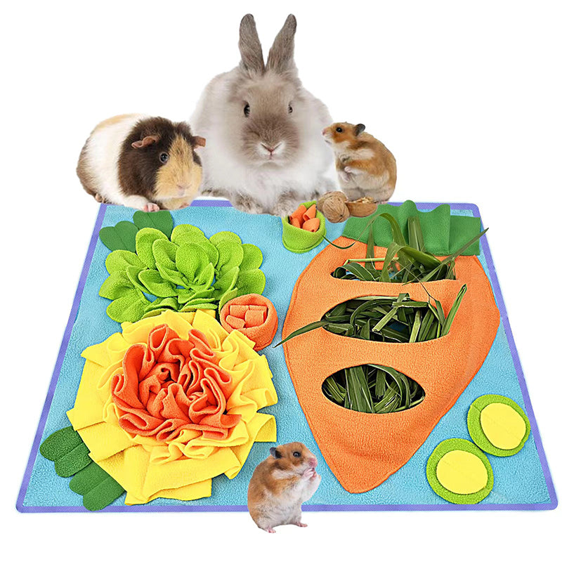 Interactive Scent Training Mat